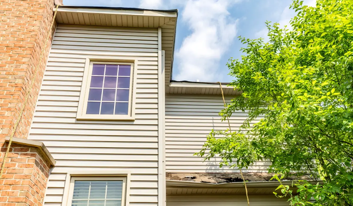two-story house with vinyl siding, sleek modern siding enhances home exterior aesthetics and durability
